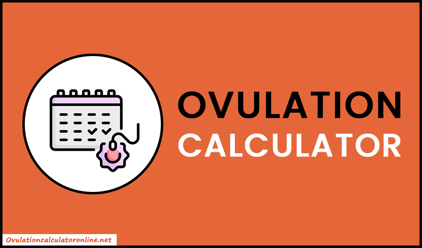 Ovulation Calculator